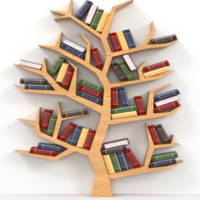 Top 5 – Spécial Romans&nbsp;contemporains