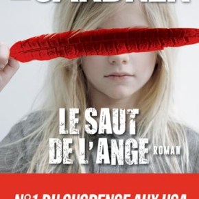 Le Saut de l&rsquo;ange de Lisa&nbsp;Gardner