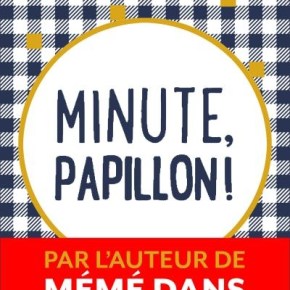 Minute, papillon ! d&rsquo;Aurélie&nbsp;Valognes