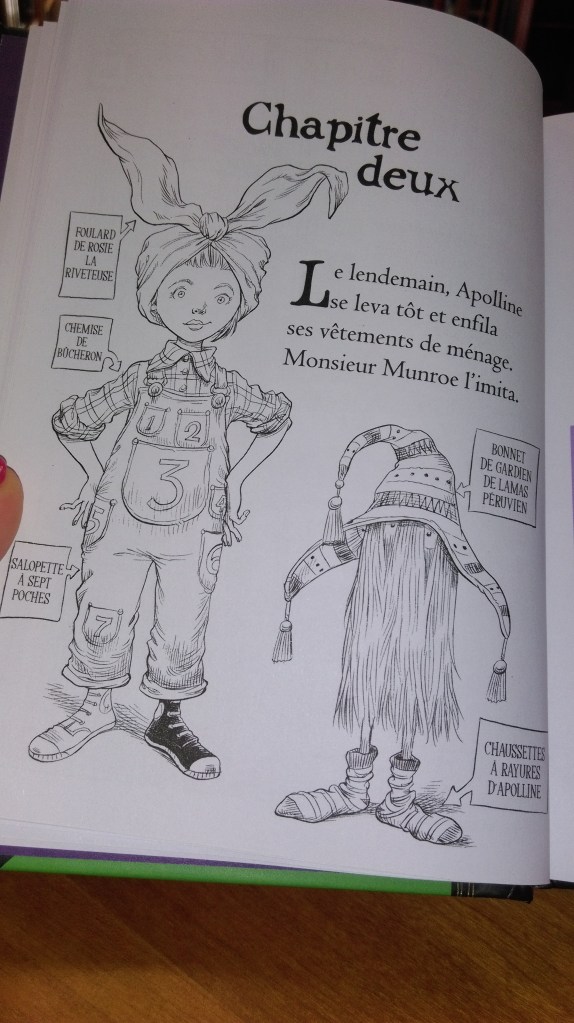 Apolline et le renard mauve de Chris Riddell Les Lectures d'Azilis