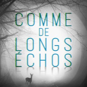 Comme de longs échos d&rsquo;Elena&nbsp;Piacentini