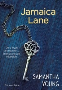 Dublin street – 3. Jamaica Lane de Samantha&nbsp;Young