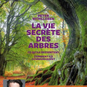 La Vie secrète des arbres de Peter&nbsp;Wohlleben