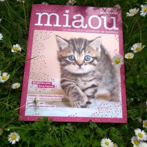 Miaou, la revue pour ronronner de&nbsp;bonheur