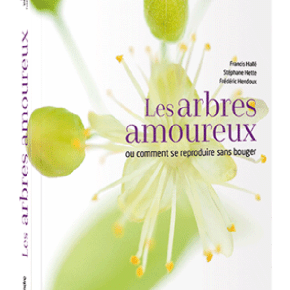 Les Arbres amoureux de Francis Hallé, Stéphane Hette et Frédéric&nbsp;Hendoux