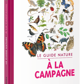 Le Guide nature : à la&nbsp;campagne
