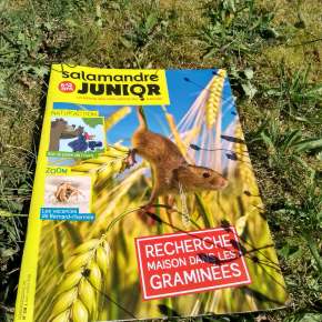 Salamandre junior, la revue des explorateurs nature de 8 à 12 ans : juin-juillet&nbsp;2018
