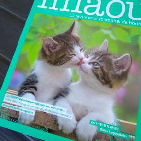 Miaou, la revue pour ronronner de bonheur : juin-juillet-août 2018