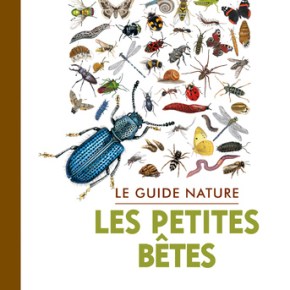 Le Guide nature : Les Petites&nbsp;Bêtes