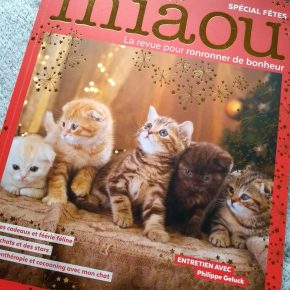 Miaou, la revue pour ronronner de bonheur : décembre 2018-janvier&nbsp;2019
