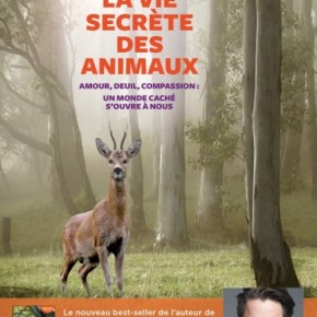 La Vie secrète des animaux de Peter&nbsp;Wohlleben