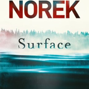 Surface d&rsquo;Olivier Norek