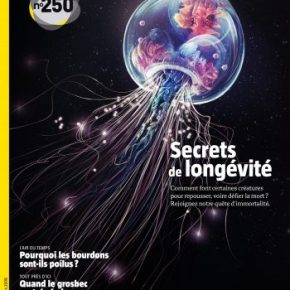 Salamandre, la revue des curieux de nature – 250 : février-mars&nbsp;2019