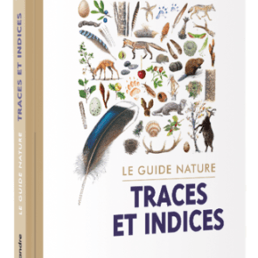 Le Guide nature : Traces et&nbsp;indices