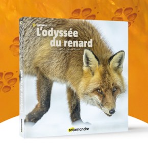 CONCOURS Gagnez un exemplaire de L&rsquo;Odyssée du&nbsp;renard