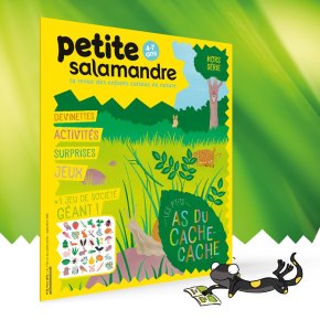 Petite Salamandre, 4 – 7 ans Hors Série n°1 : les p&rsquo;tits as du&nbsp;cache-cache