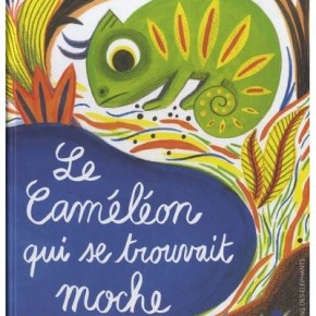 Le Caméléon qui se trouvait moche de Souleymane Mbodj et Magali&nbsp;Attiogbé