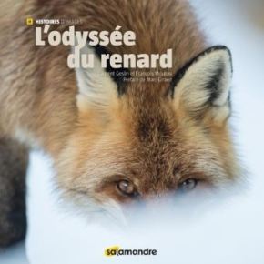 L&rsquo;Odyssée du renard de Laurent Geslin et François&nbsp;Moutou