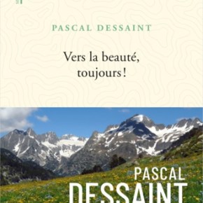 Vers la beauté, toujours ! de Pascal&nbsp;Dessaint