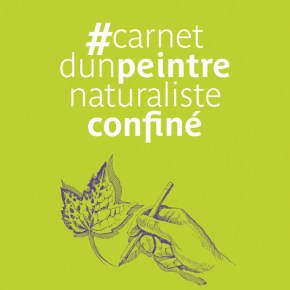 #carnetd&rsquo;unpeintrenaturalisteconfiné de Lorenzo&nbsp;Dotti