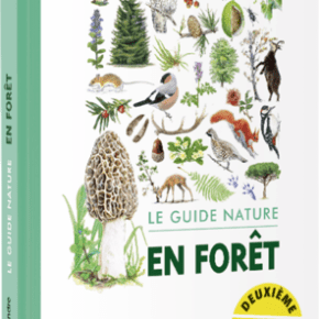 Le Guide nature : En&nbsp;forêt