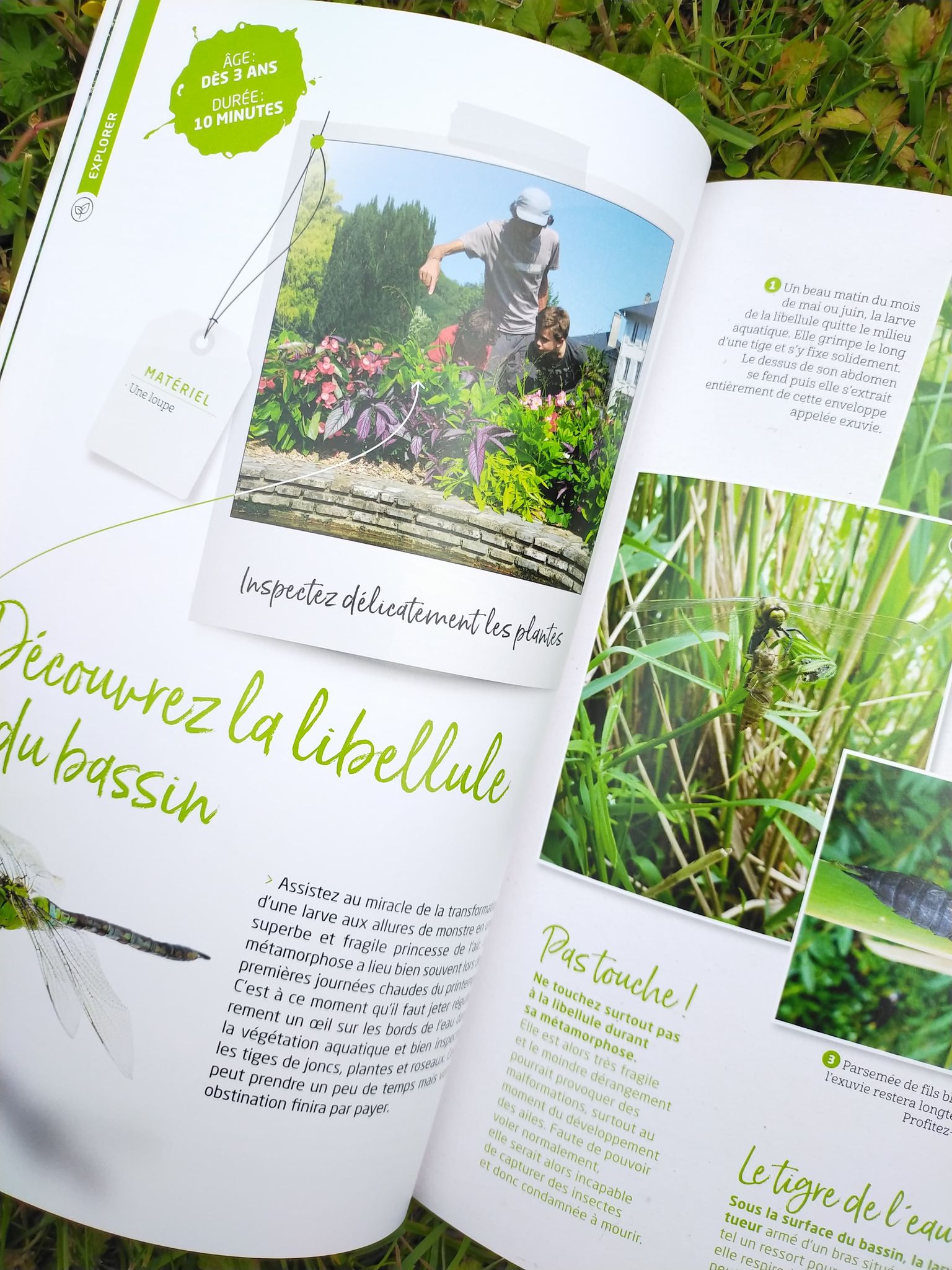 176486288_728447217823089_1477301933376180246_n