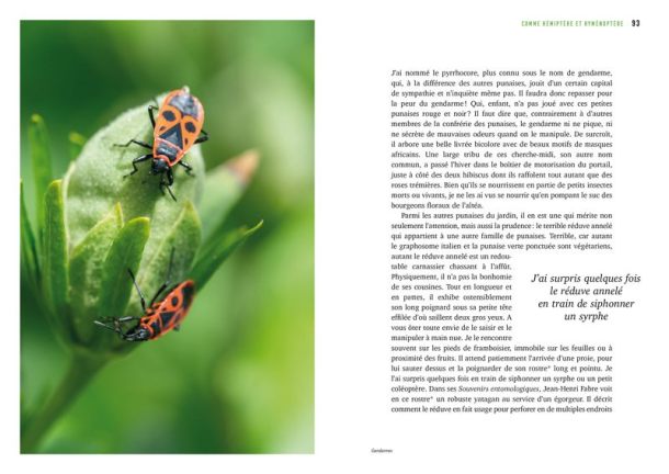 161264442_10224782211643175_9165444949170610867_n