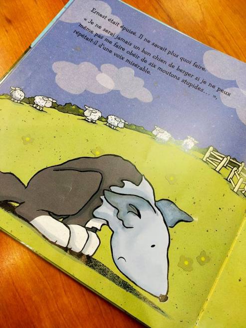 229684055_567613934248427_2918252763502500413_n