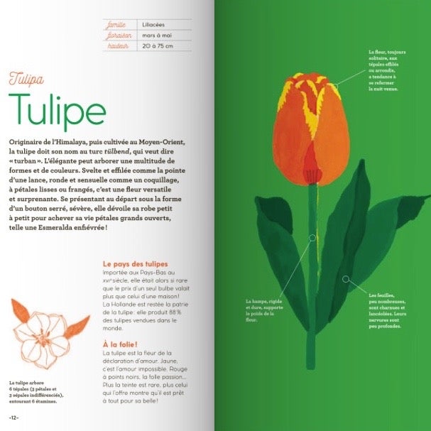 fleurs+saison+maupetit+gallimard+5