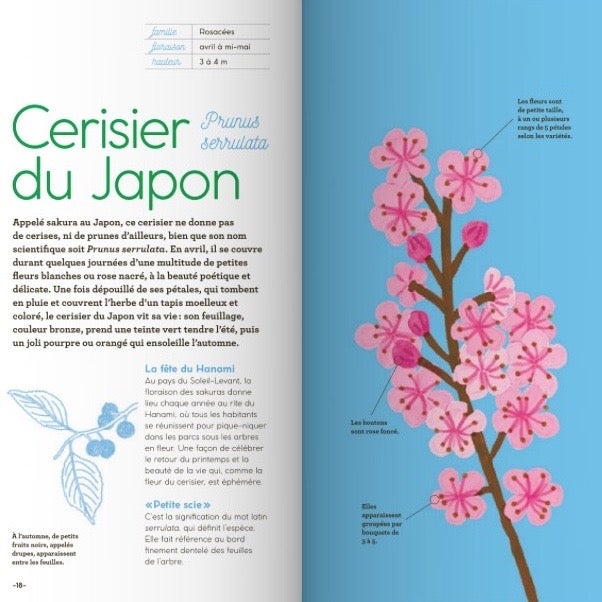 fleurs+saison+maupetit+gallimard+6
