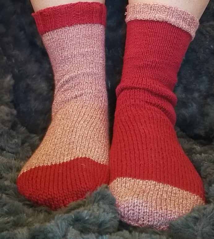 271424839_462499085551978_8978176247029762157_n