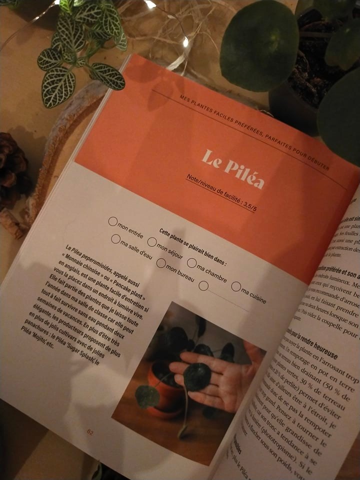 271965898_502033917939594_1477947471206448234_n