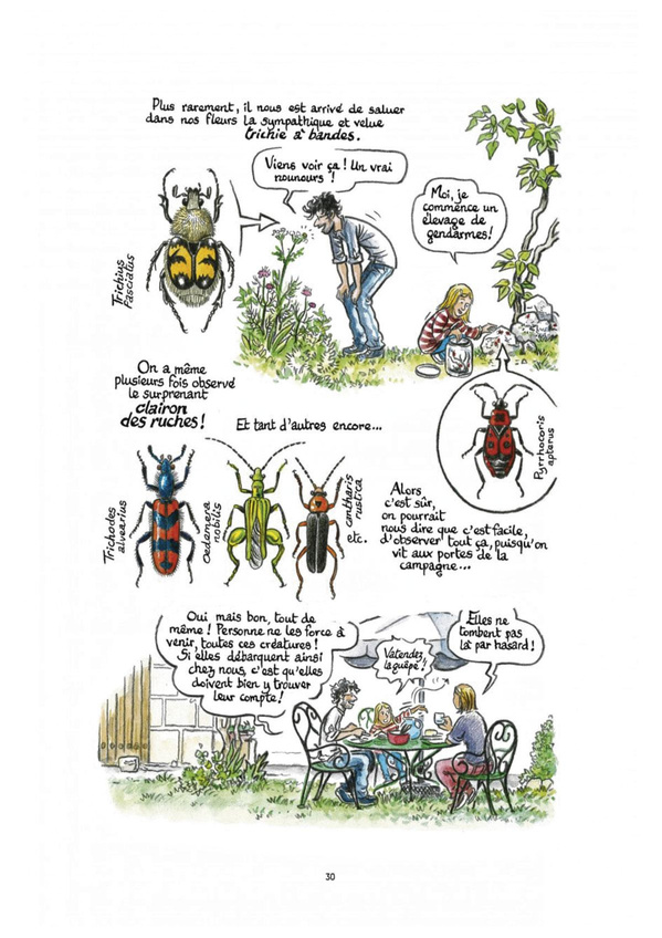 0_0_oasisimage_FP26copy_FP26