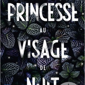 La Princesse au visage de nuit de David&nbsp;Bry