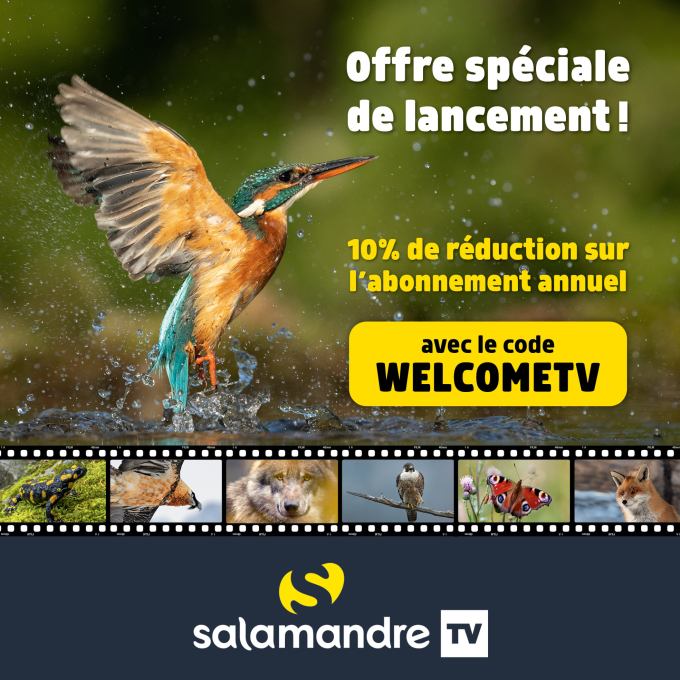 273101298_10226979078243467_4529983067798137296_n