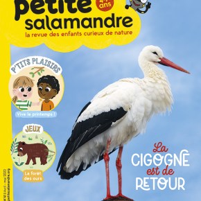 Petite Salamandre, 4-7 ans : Avril-Mai&nbsp;2022