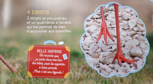 277853335_2012779598901422_4959660359718758419_n