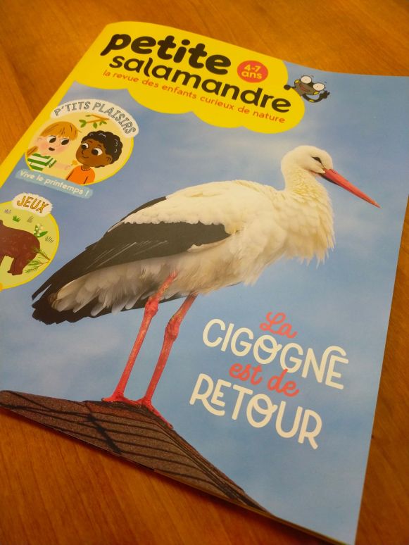 277853932_530655315252973_8076427467984462921_n