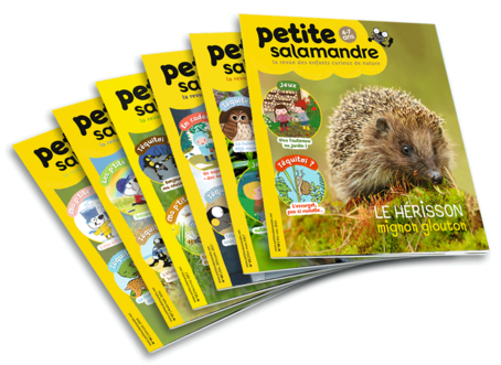 la-petite-salamandre-abonnement-1-an_fr_842