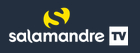 salamandretv