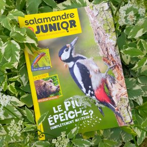 Salamandre Junior, 8-12 ans : Avril-Mai&nbsp;2022