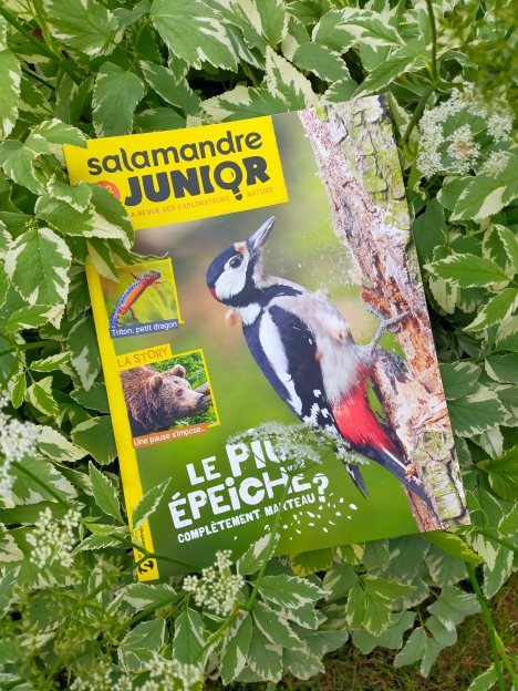 283311413_556118059214127_6992175291634504699_n