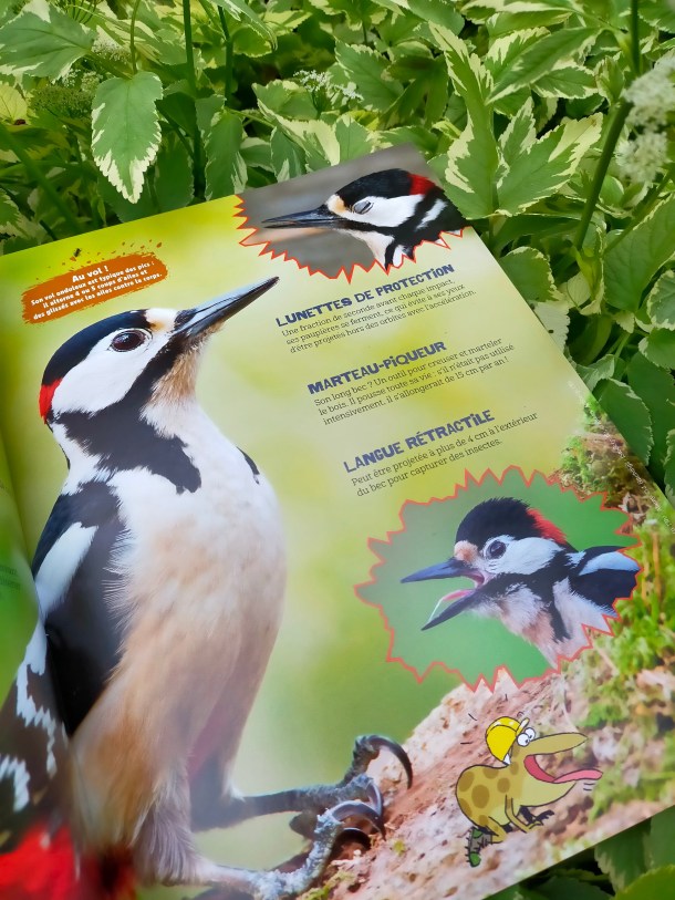 284176718_568961534748390_8154191142646319556_n