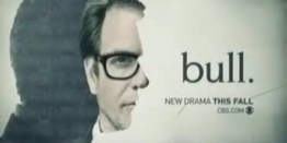 bull-2016_1463570512