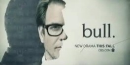 bull-2016_1463570512