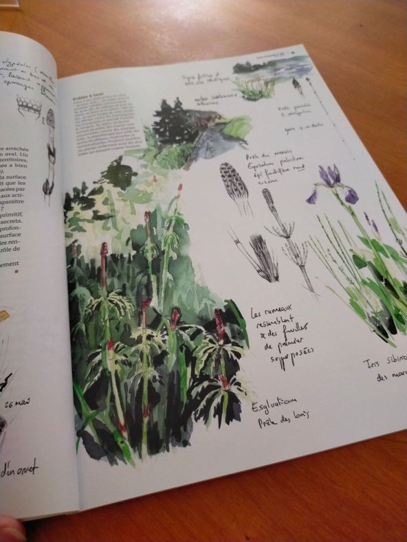 286015409_3370752119915074_1468087077859030589_n