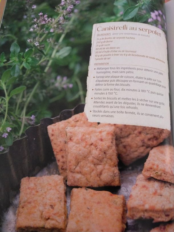 287311312_5187829737931828_8900550870443354654_n