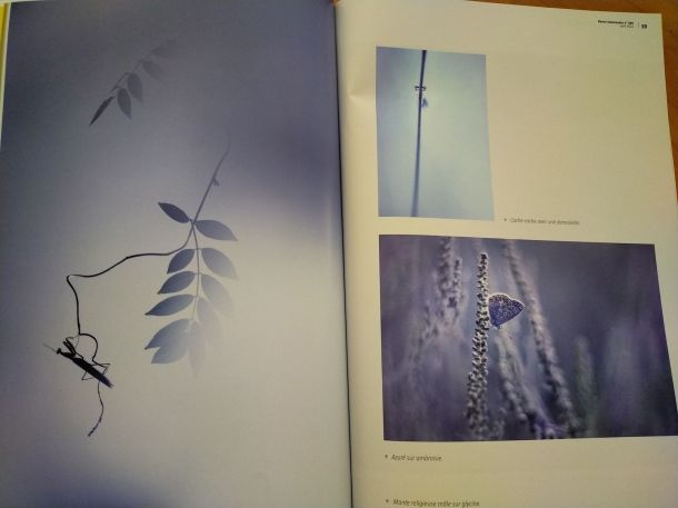 287377948_542876713991328_6133697680110894373_n