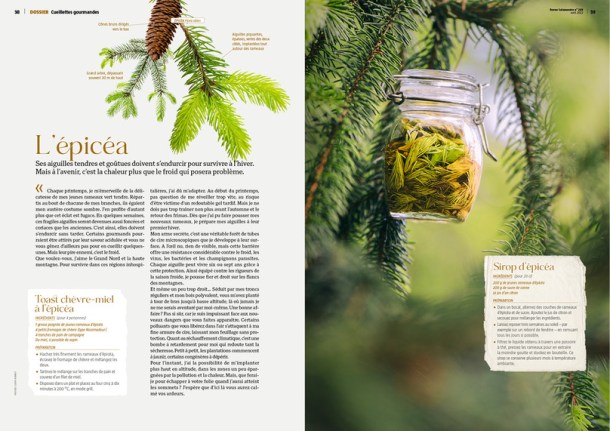 cueillettes-sauvages_1450_fr_62416588b89ae