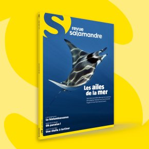 La Salamandre : Juin-Juillet&nbsp;2022